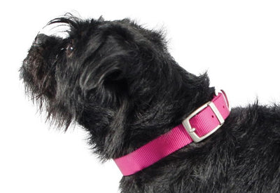 Ancol Viva Nylon Buckle Collar Pink 15mm X28-36cm Sz3